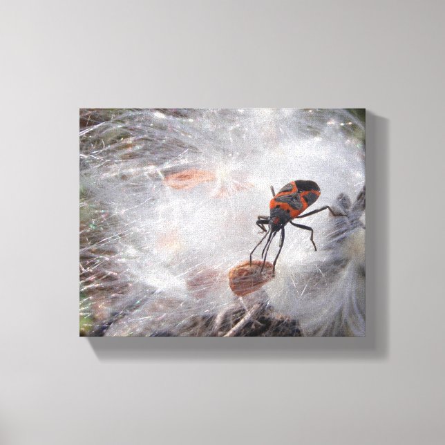 Toile Bug de l'algue sur l'algue (Recto)