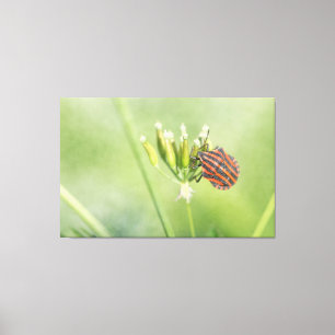 Toile Bug rouge - Une Bouteille supplémentaire ne fait p