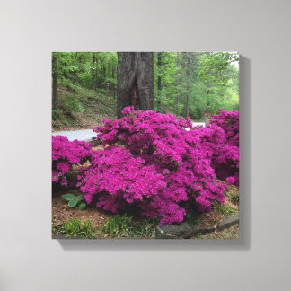 Toile Buissons pourpres de l'Azalée en fleurs
