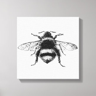 Toile Bumble Bee Canvas Imprimer