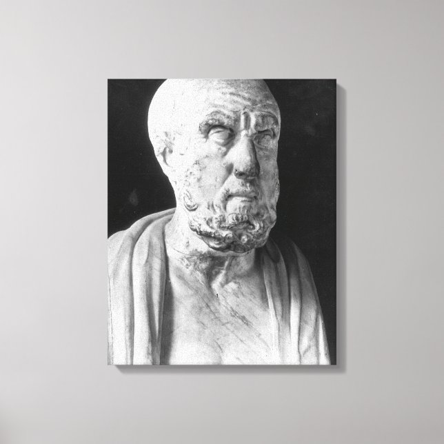 Toile Buste des Hippocrates (Recto)