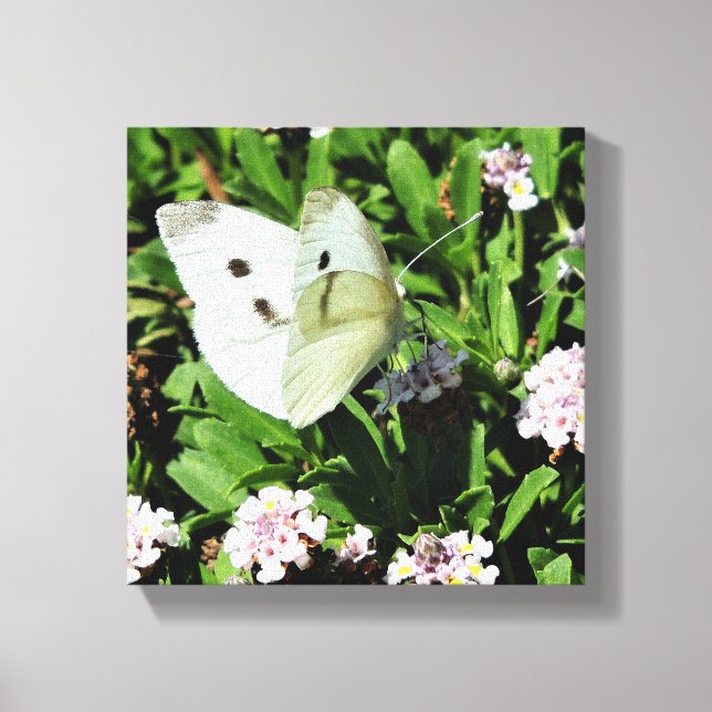 Toile Butterfly Floral  Canvas Print (Recto)