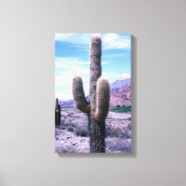 Toile Cactus dans la province de Jujuy - Nord de l'Argen (Recto)