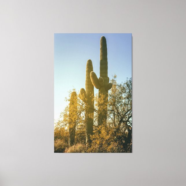 Toile Cactus du Saguaro (Recto)