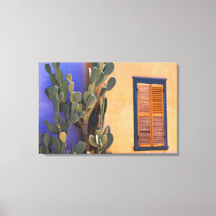 Toile Cactus du sud-ouest (Opuntia dejecta) et