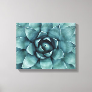 Toile Cactus Succulent Cactus Canvas Art