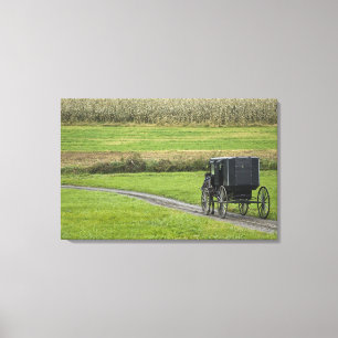 Toile Calèche amish sur une route de campagne, Ohio du N