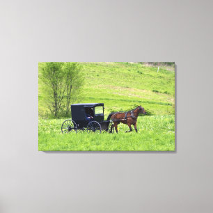 Toile Calèche et cheval amish près de Berlin, Ohio.
