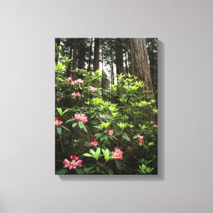 Toile Californie, parc d'État des Redwoods de la côte De