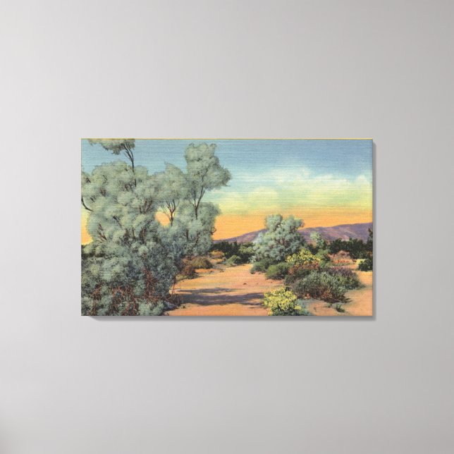 Toile CalifornieVue des arbres fumés dans le désert (Recto)