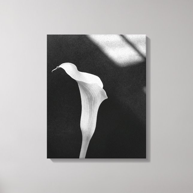 Toile Calla Lily noir et blanc (Recto)