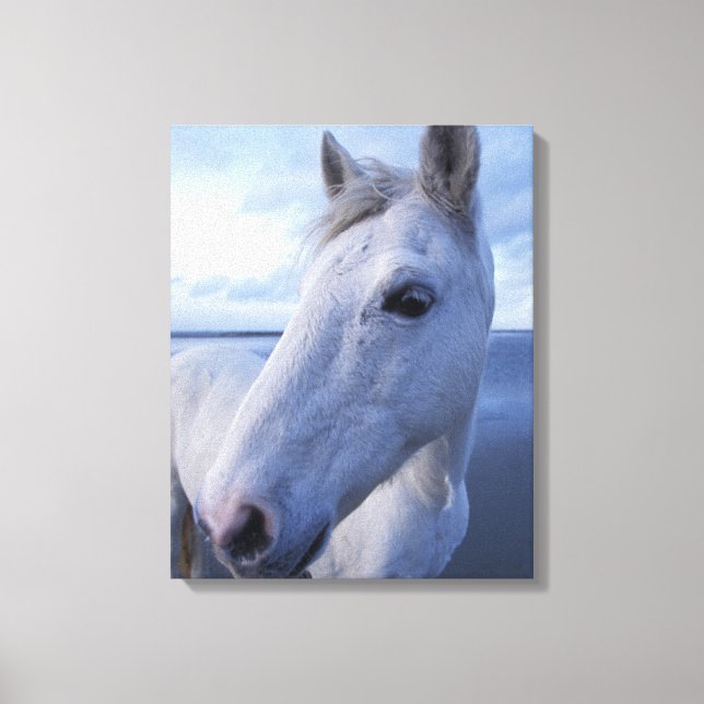Toile Camargue Horse (Recto)