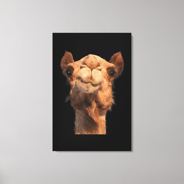 Toile Camel Animal Face (Recto)