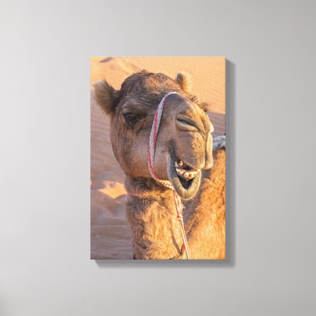 Toile Camel avec une drôle d'expression faciale (Recto)