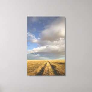 Toile Canada, Alberta, Stand Off : Paysage avec