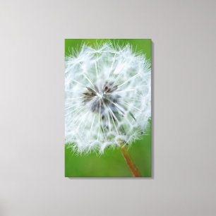 Toile Canada, Colombie-Britannique, Île de Vancouver 4