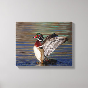 Toile Canard en bois 14x11