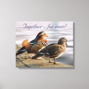 Toile Canards mandarins