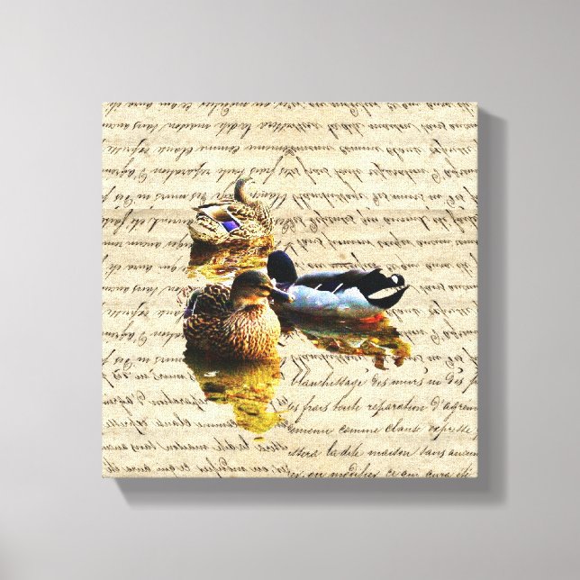 Toile Canards sur papier vintage (Recto)
