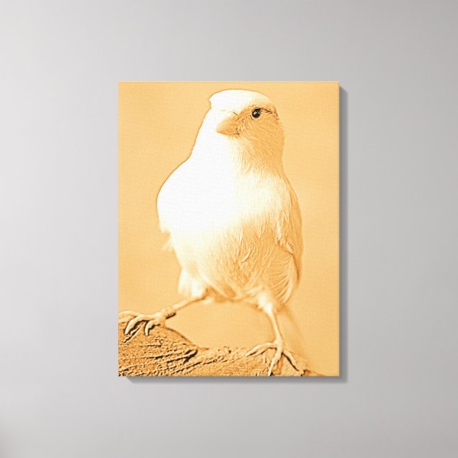 Toile Canary Bird Canvas (Recto)