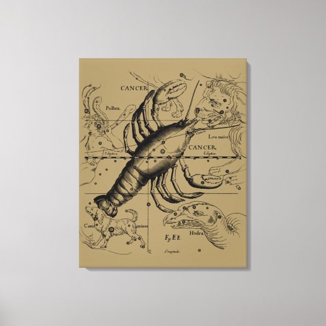 Toile Cancer Zodiac Constellation par Hevelius 1690 (Recto)