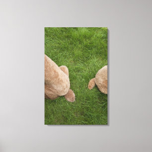 Toile caniche standard 5