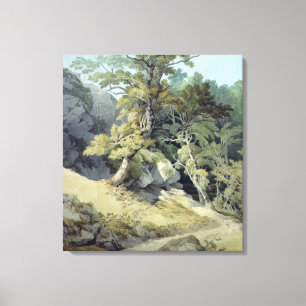 Toile Canonteign, Devon