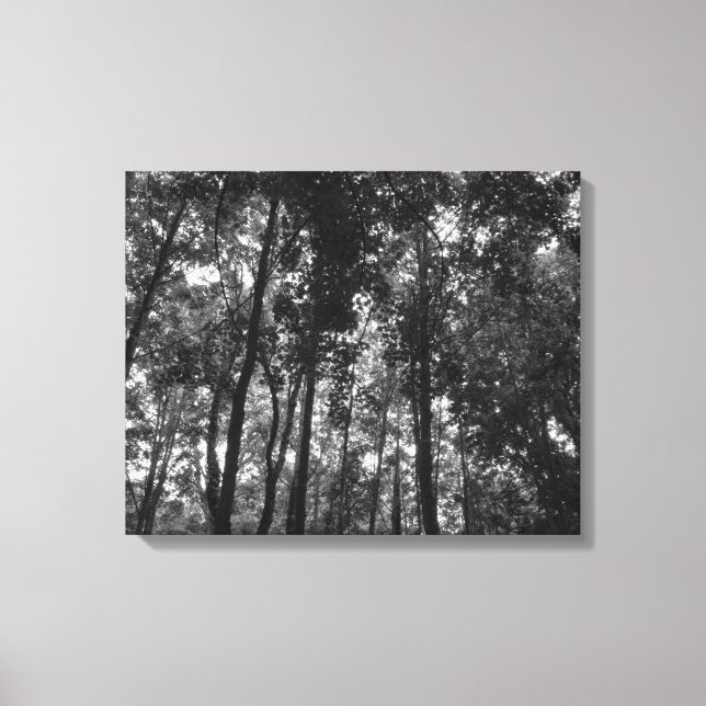 Toile Canopée de bois 02 BW (Recto)