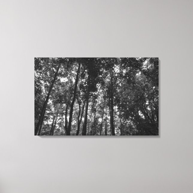 Toile Canopée de bois 02 BW (Recto)