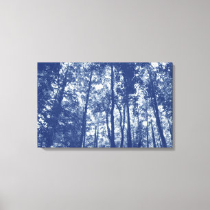 Toile Canopée de bois - Effet Cyanotype