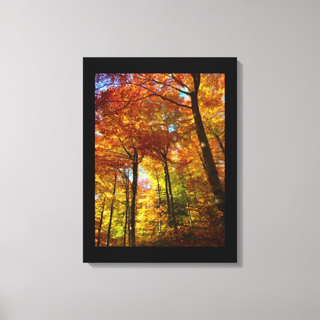 Toile Canvas Arbres d'automne (Recto)