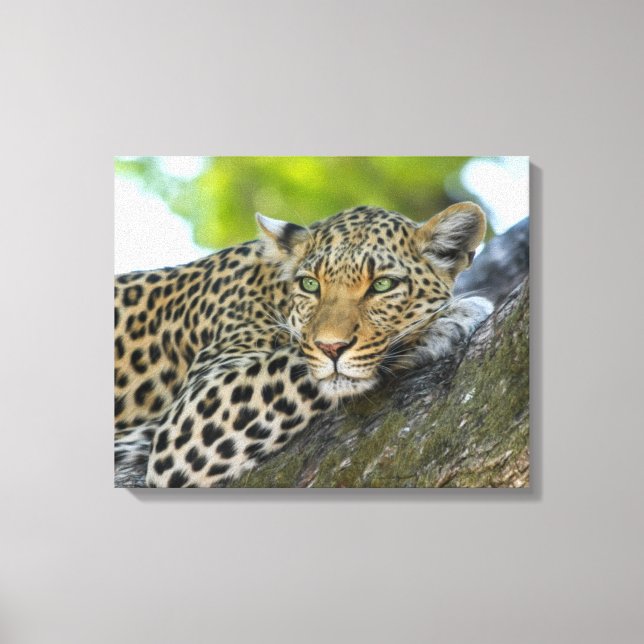 Toile Canvas Art-Leopard (Recto)