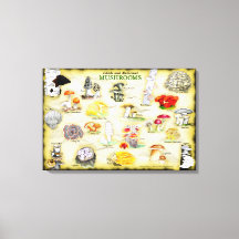 Canvas de noms communs 30x20 Champignons