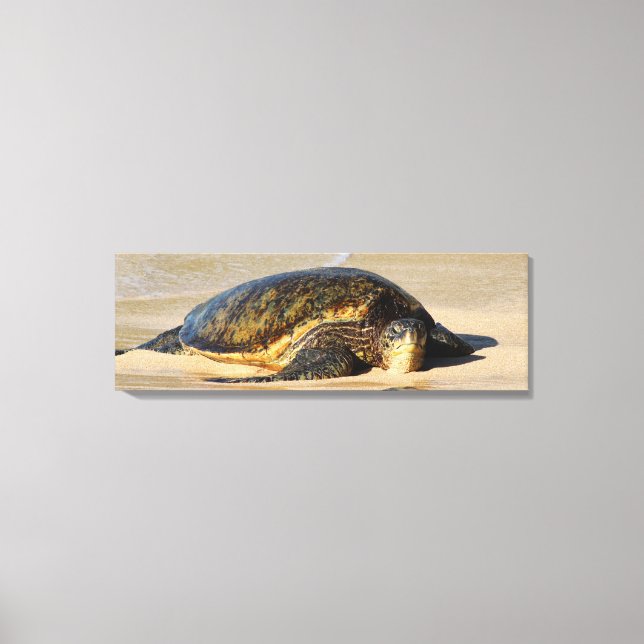 Toile Canvas de tortue de mer d'Hawaï (Recto)