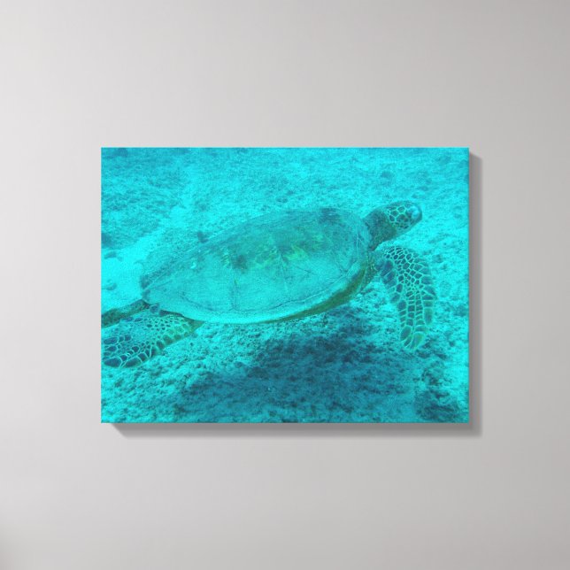 Toile Canvas de tortue verte hawaïenne Imprimer (Recto)