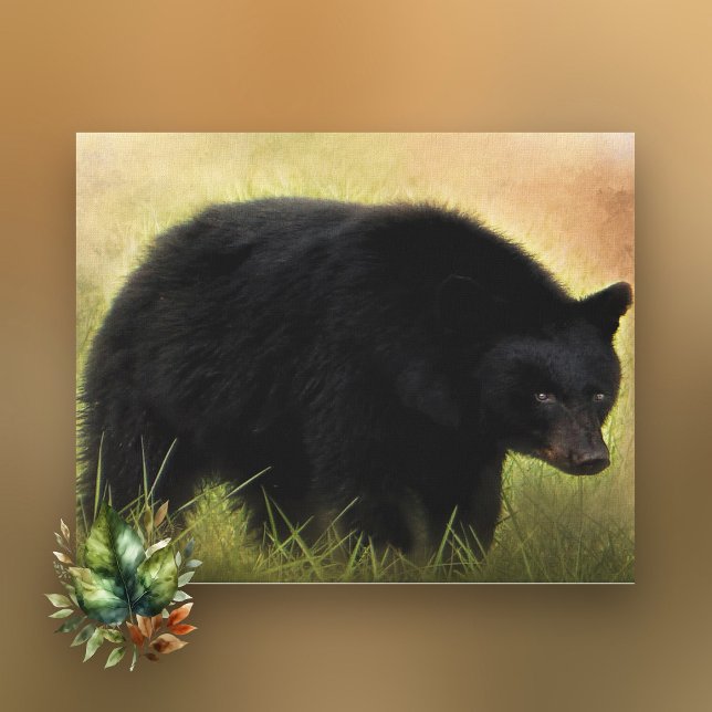 Toile Canvas photo de l'ours noir (Créateur téléchargé)