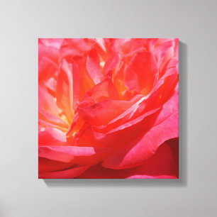 Toile Canvas rose rouge imprime des fleurs Roses