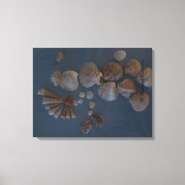 Toile Canvas (SeaShell Lady) RFPMDesigns ©️ 2012 (Recto)