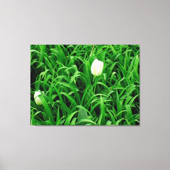 Toile Canvas Spring Time 4 (Recto)