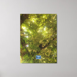 Toile Canvas (Sun Green Tree 1) RFPMDesigns ©️ 2021/24