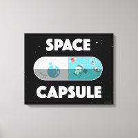 Capsule spatiale