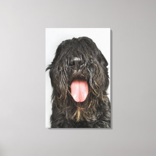 Toile Capture de studio