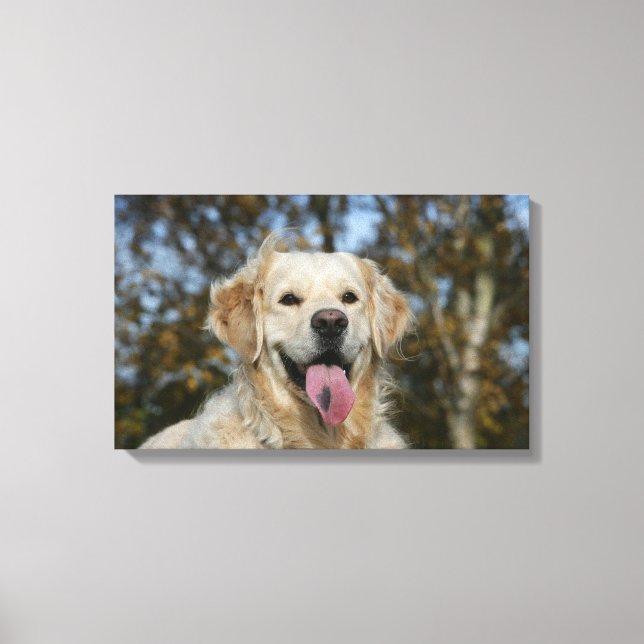 Toile Capture d'écran Golden Retriever 3 (Recto)