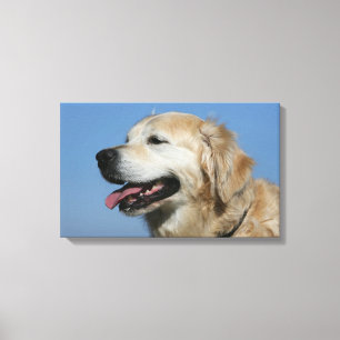 Toile Capture d'écran Golden Retriever 4