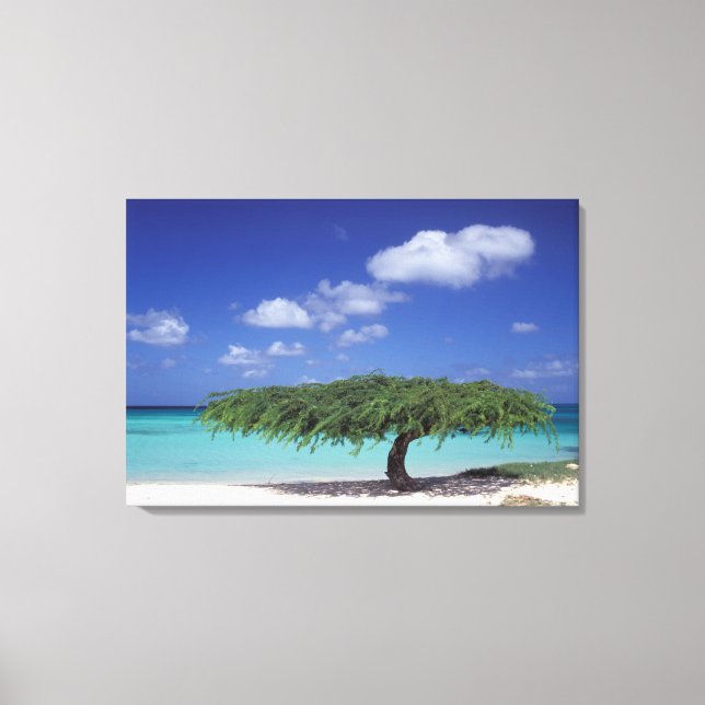 Toile Caraïbes, Aruba. Eagle Beach (Recto)