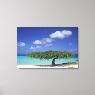 Toile Caraïbes, Aruba. Eagle Beach