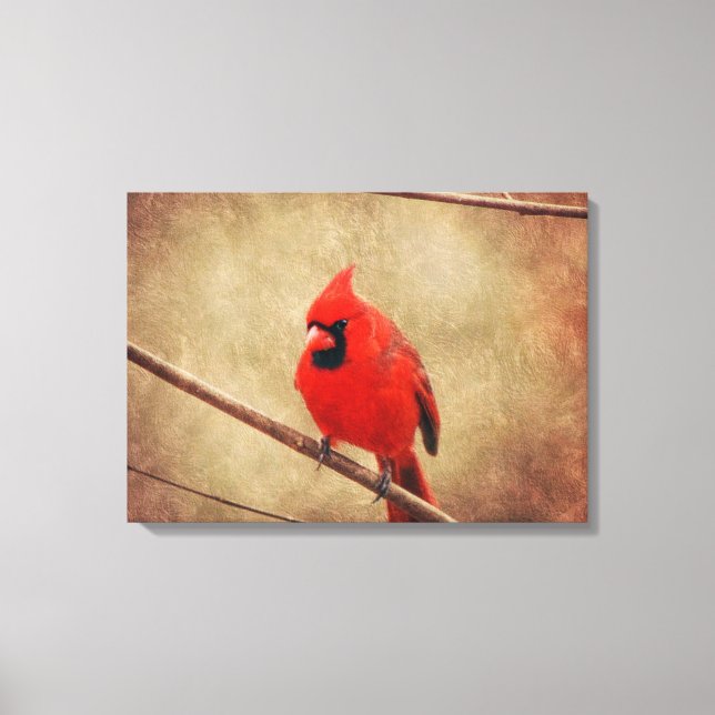 Toile Cardinal (Recto)