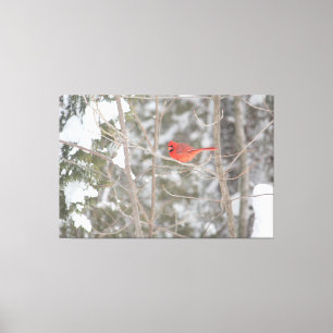 Toile Cardinal Bright