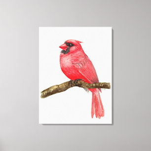 Toile Cardinal oiseau aquarelle