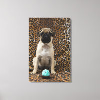 Carlin chiot assis contre poster de animal 2